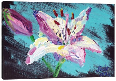Lily On Turquoise Canvas Art Print - Lily Art