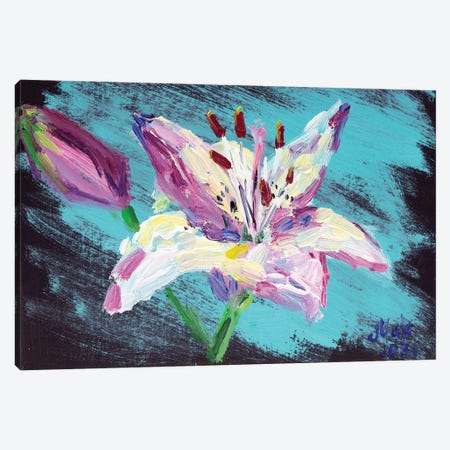 Lily On Turquoise Canvas Print #NTM104} by Nataly Mak Canvas Artwork