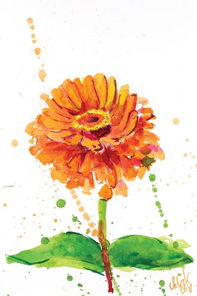 Zinnias: Orange Zinnia by Nataly Mak
