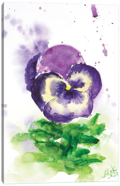 Purple Pansy II Canvas Art Print - Pansies