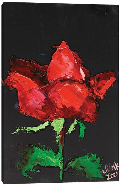 Red Rose II Canvas Art Print - Nataly Mak