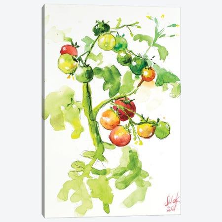 Tomatoes On A Branch Canvas Print #NTM129} by Nataly Mak Canvas Print