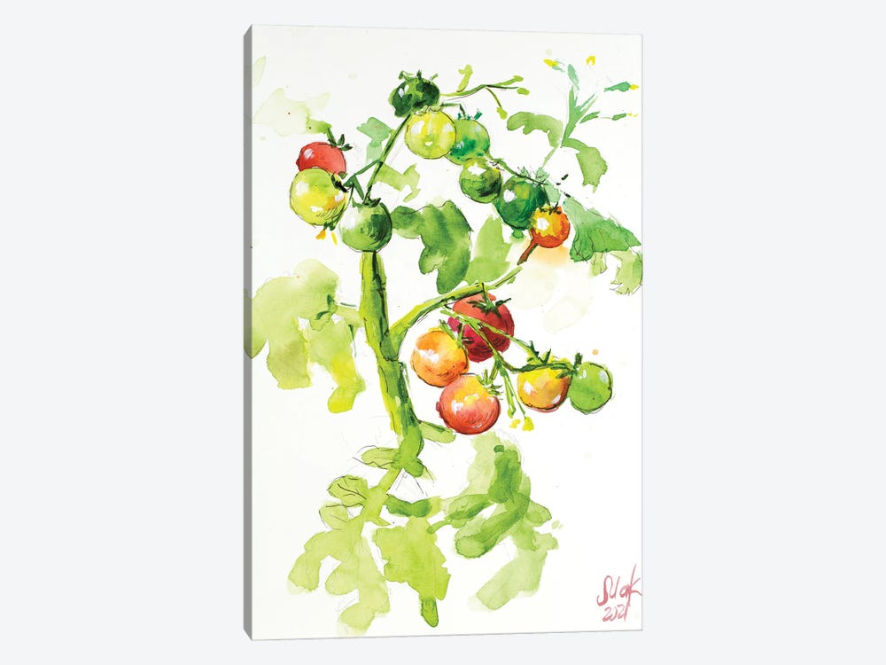 Tomatoes On A Branch by Nataly Mak 1-piece Canvas Artwork