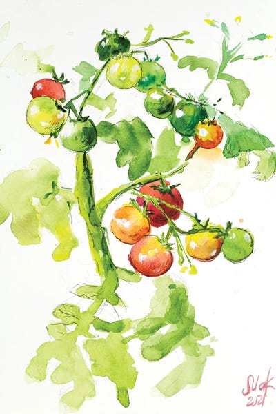 Nataly Mak: Tomatoes On A Branch by Nataly Mak