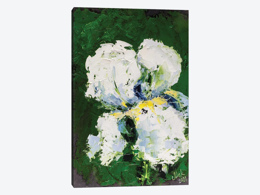 White Iris by Nataly Mak 1-piece Canvas Art Print