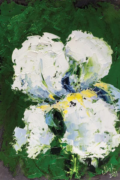 Nataly Mak: White Iris by Nataly Mak