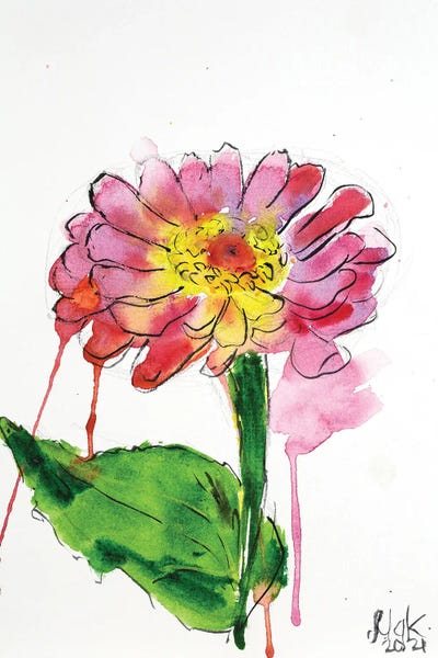 Zinnias: Pink Zinnia by Nataly Mak