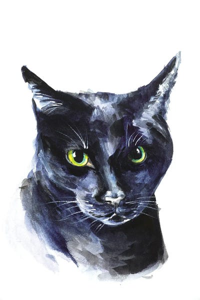 Nataly Mak: Black Cat Portrait by Nataly Mak