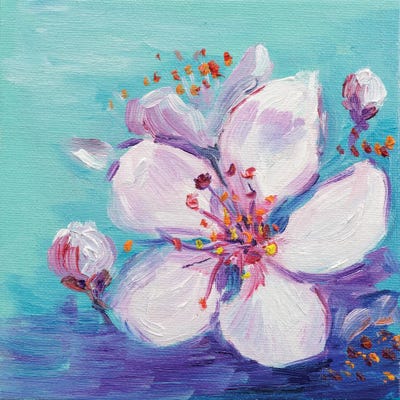 Cherry Blossom by Nataly Mak framed canvas print
