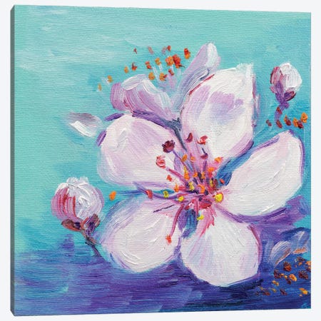 Cherry Blossom Canvas Print #NTM141} by Nataly Mak Canvas Art Print