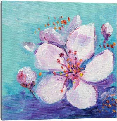 Cherry Blossom Canvas Art Print - Nataly Mak