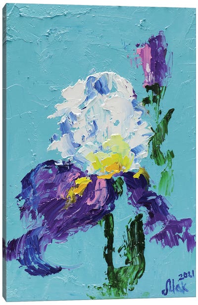 Purple Iris Canvas Art Print - Nataly Mak