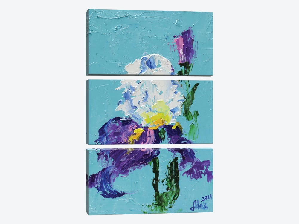 Purple Iris by Nataly Mak 3-piece Canvas Art Print