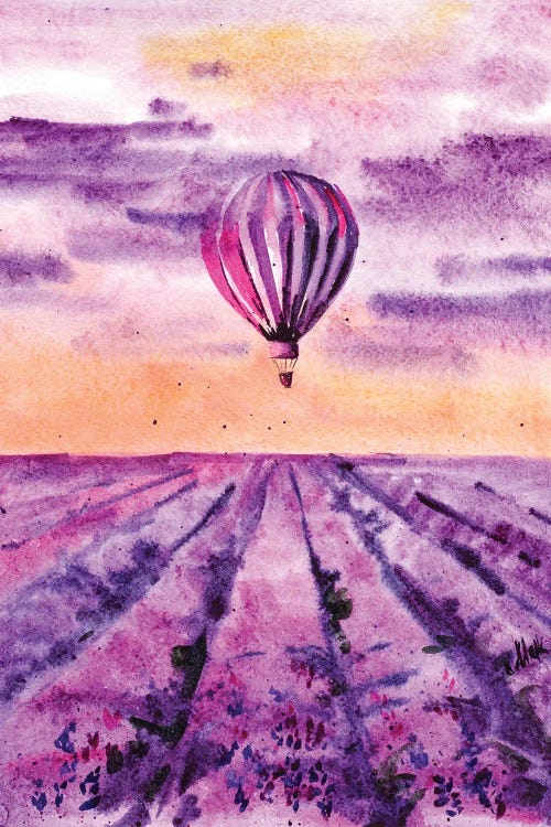 Hot Air Balloon Over Lavender Field