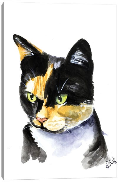 Colorful Cat Canvas Art Print - Calico Cat Art