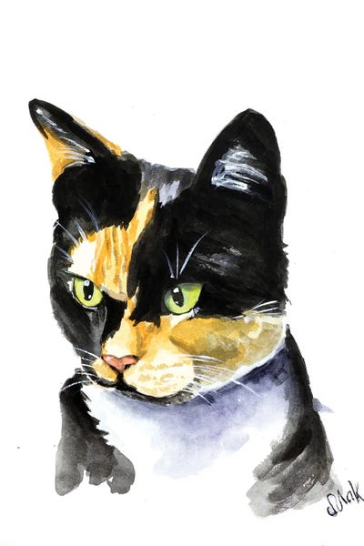 Nataly Mak: Colorful Cat by Nataly Mak