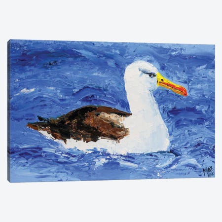 Albatross Bird Canvas Print #NTM167} by Nataly Mak Canvas Art