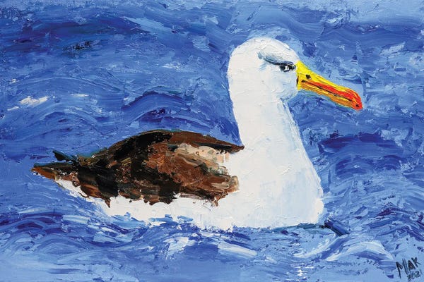 Nataly Mak: Albatross Bird by Nataly Mak