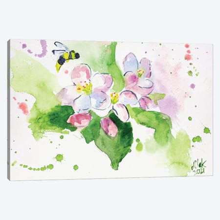 Apple Blossoms Canvas Print #NTM169} by Nataly Mak Art Print