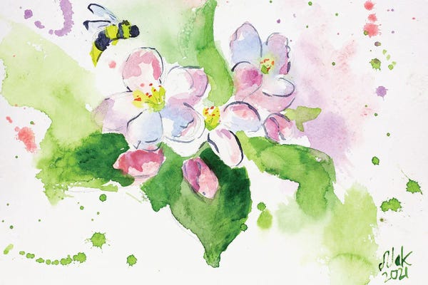 Apple Trees: Apple Blossoms by Nataly Mak