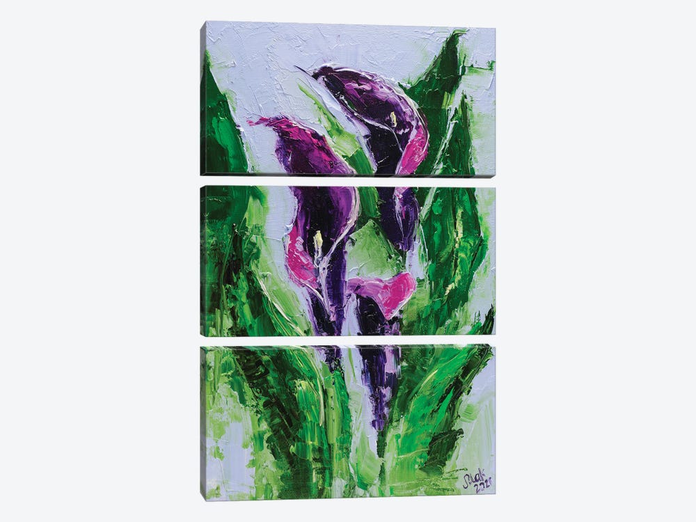 Calla Flowers by Nataly Mak 3-piece Art Print