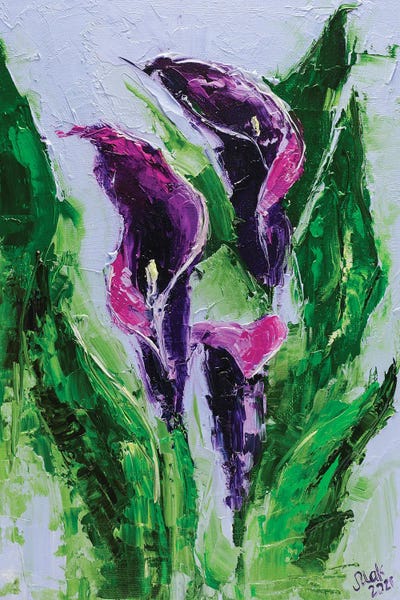 Calla Lilies: Calla Flowers by Nataly Mak