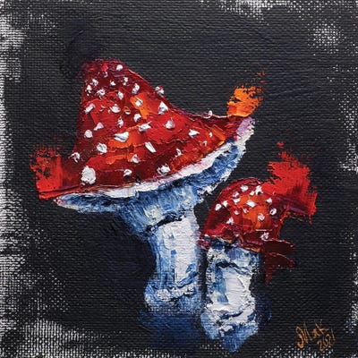 Fly Agaric by Nataly Mak framed wall art
