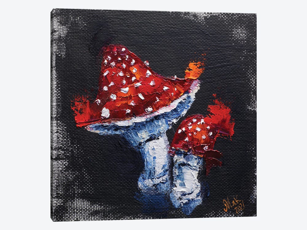Fly Agaric by Nataly Mak 1-piece Canvas Art