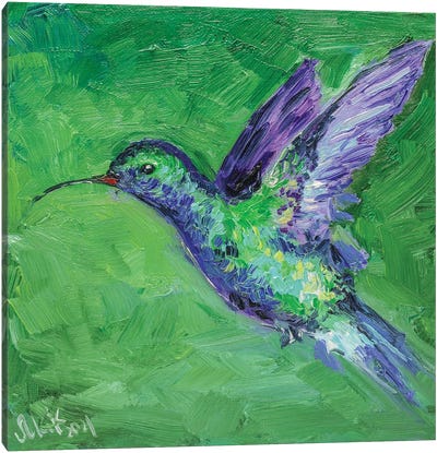 Hummingbird Green Canvas Art Print - Hummingbird Art
