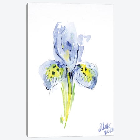 Blue Iris Canvas Print #NTM193} by Nataly Mak Canvas Art