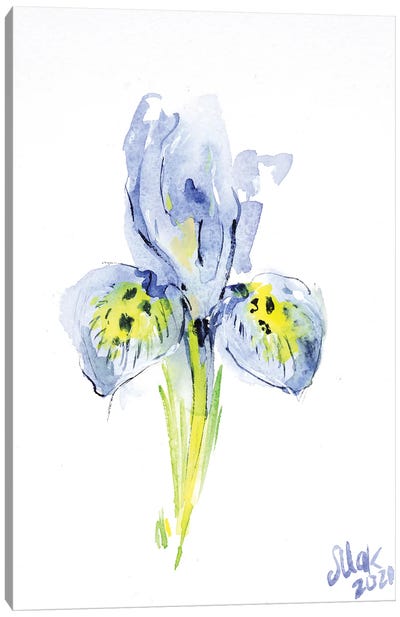 Blue Iris Canvas Art Print - Nataly Mak