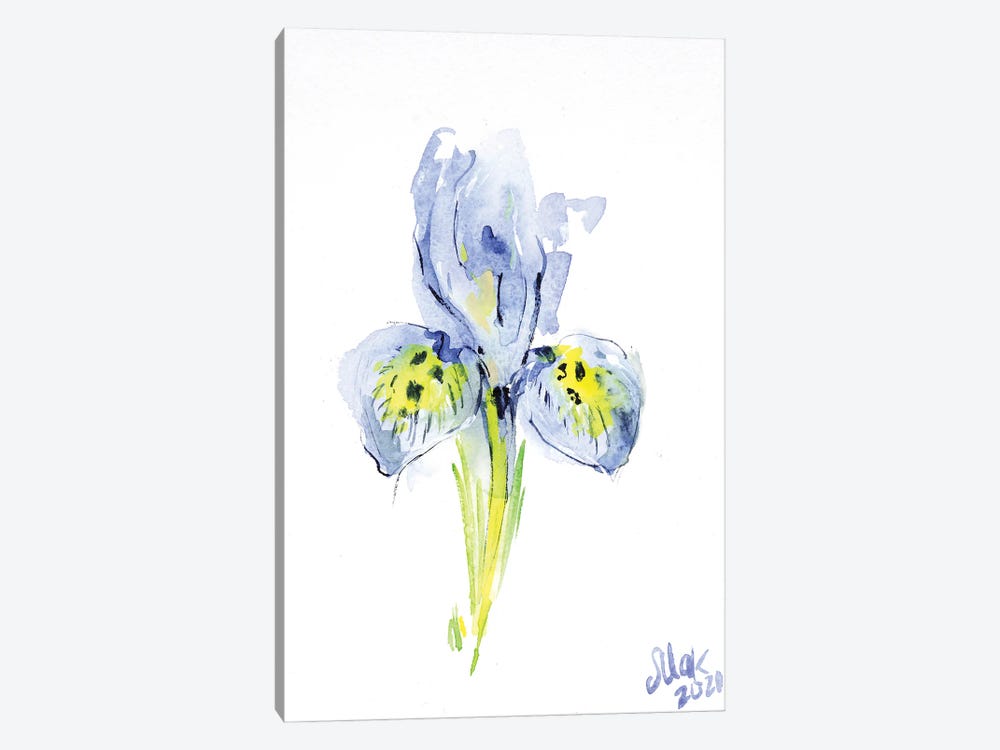 Blue Iris by Nataly Mak 1-piece Canvas Print