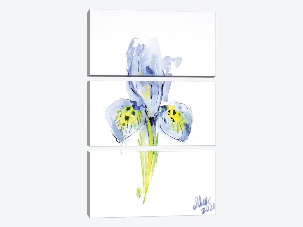 Blue Iris by Nataly Mak 3-piece Canvas Art Print