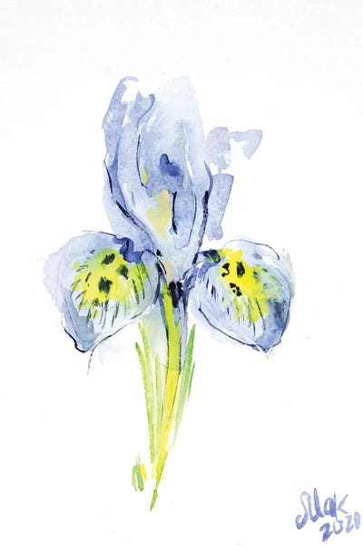 Nataly Mak: Blue Iris by Nataly Mak
