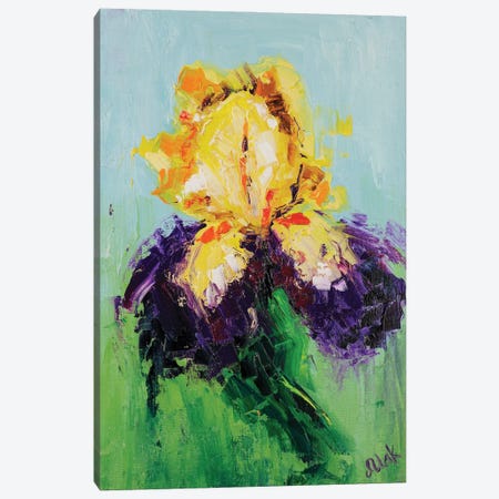 Bicolor Iris Canvas Print #NTM194} by Nataly Mak Canvas Print