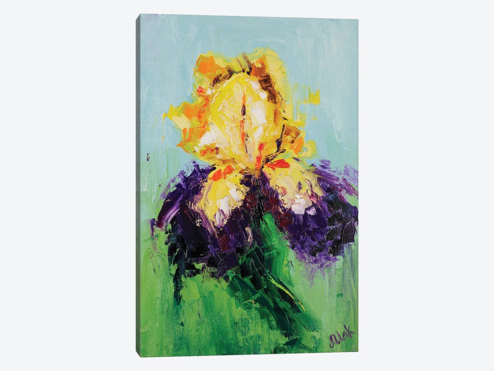 Bicolor Iris by Nataly Mak 1-piece Canvas Artwork