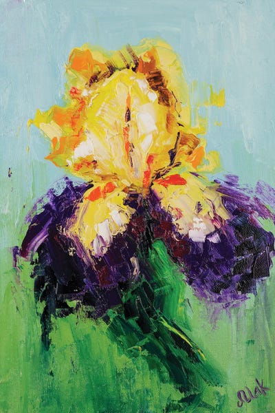 Irises: Bicolor Iris by Nataly Mak