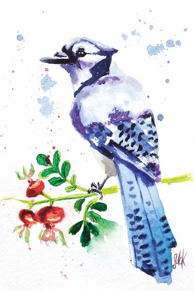 Nataly Mak: Blue Jay by Nataly Mak