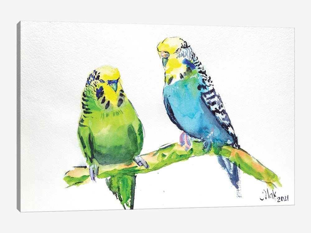 Two Parrots by Nataly Mak 1-piece Canvas Artwork