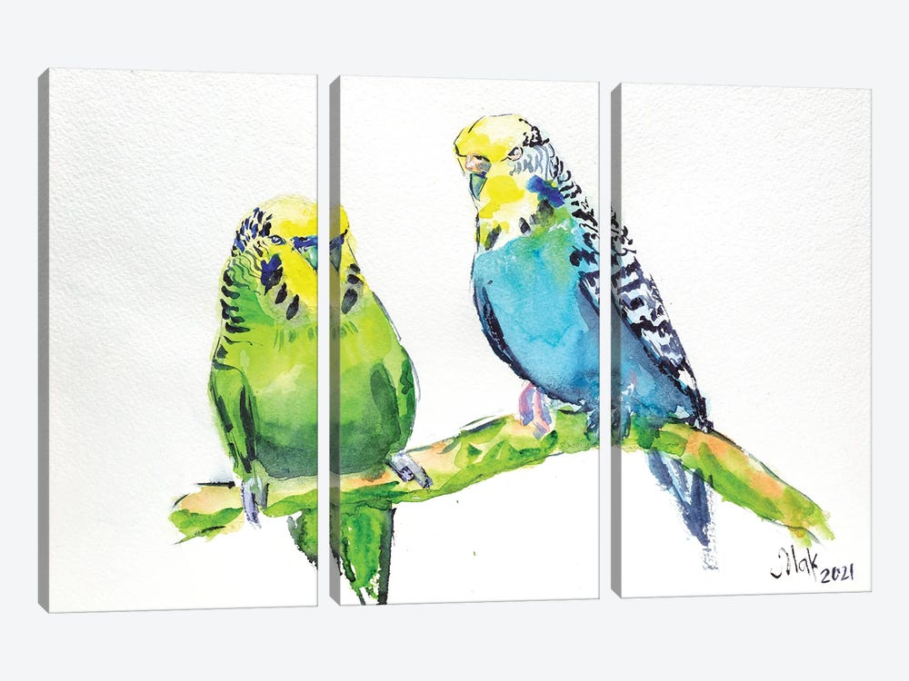 Two Parrots by Nataly Mak 3-piece Canvas Art