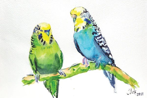 Parrots: Two Parrots by Nataly Mak