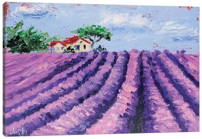 Provence Landscape Canvas Art Print - Lavender Art