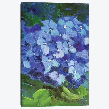 Blue Hydrangea II Canvas Print #NTM20} by Nataly Mak Art Print
