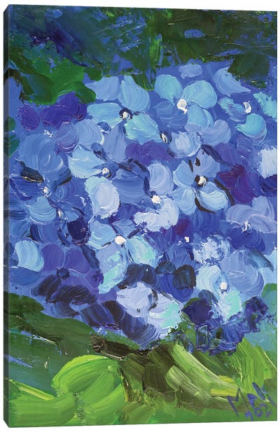 Blue Hydrangea II Canvas Art Print - Hydrangea Art