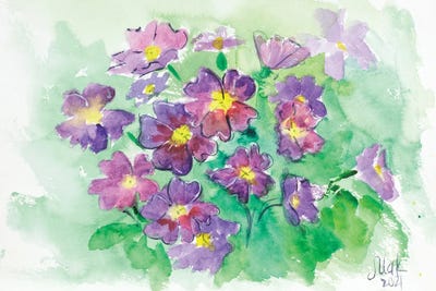 Primrose Watercolor by Nataly Mak art print