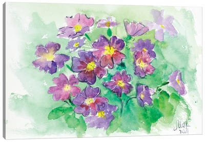 Primrose Watercolor Canvas Art Print - Nataly Mak