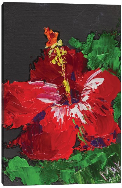 Red Hibiscus II Canvas Art Print - Hibiscus Art