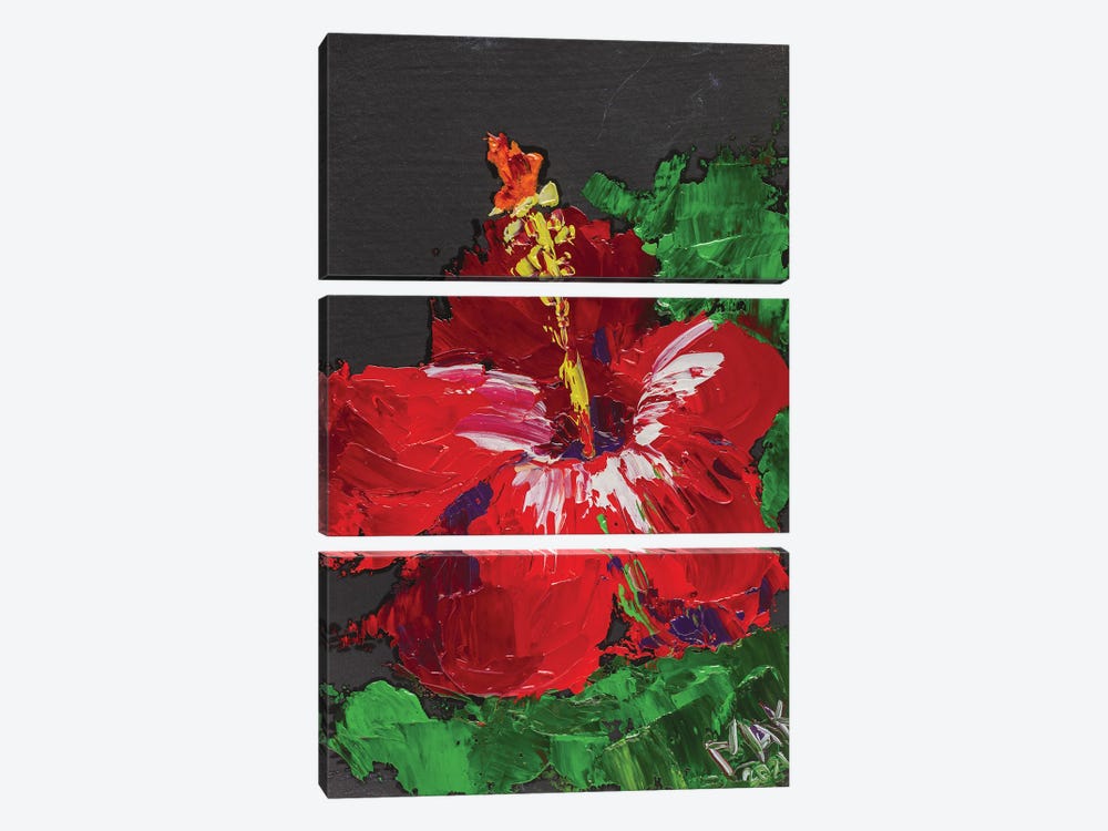Red Hibiscus II by Nataly Mak 3-piece Canvas Print