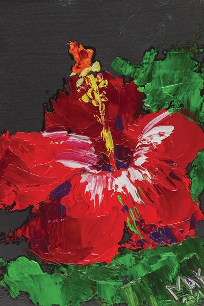 Hibiscuses: Red Hibiscus II by Nataly Mak