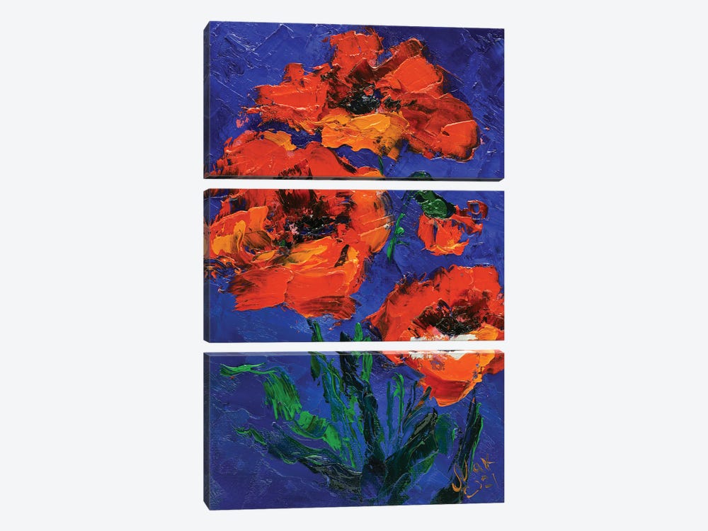 Red Poppies by Nataly Mak 3-piece Canvas Wall Art